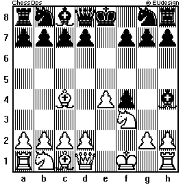 Chess Board