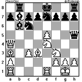 Chess Board