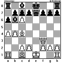Chess Board
