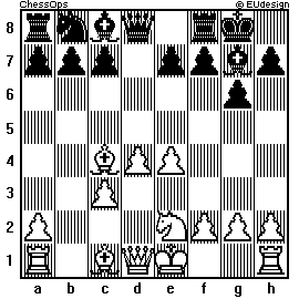 Chess Board