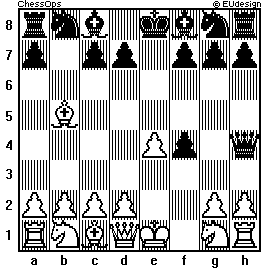 Chess Board