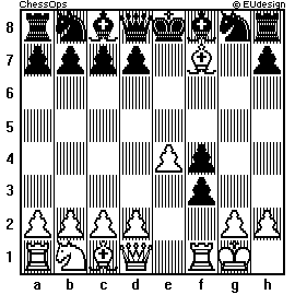 Chess Board