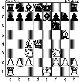 Chess Board